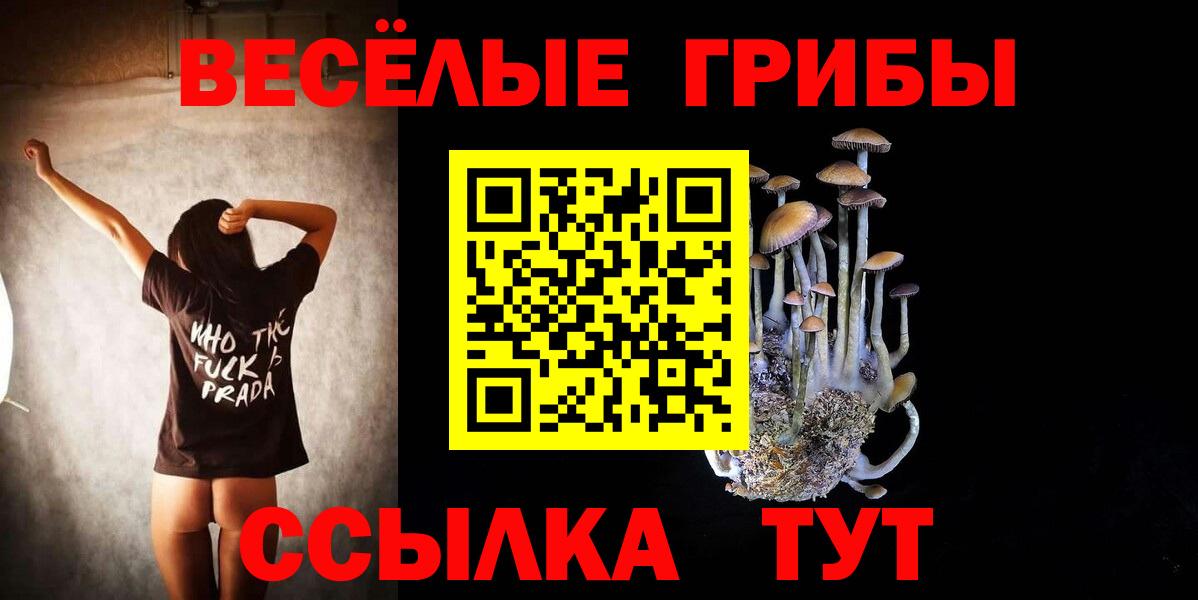 Псилоцибиновые грибы Psilocybine cubensis Шебекино